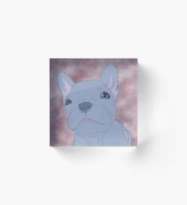 Geoff the blue French Bulldog Acrylic Block