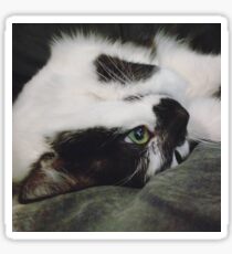 Sleep with one eye open Sticker