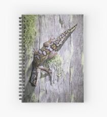 Cuaderno de espiral Leopardo Gecko