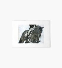Charlotte und Valegro Galeriedruck