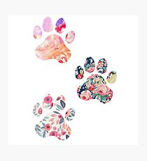 Floral Paw Print Trio Photographic Print