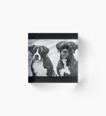 Portrait of 2 boxers -Boxer Dogs Series- Acrylic Block