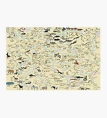 Cartoon Guide to Vertebrate Evolution Photographic Print