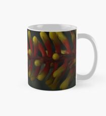 Winter Garden 1 Mug