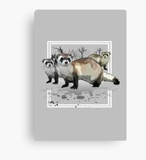 Ferrets Canvas Print