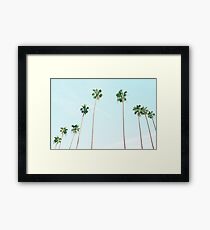 PALM TREES Framed Print