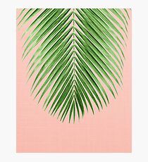 PALMBLATT Fotodruck