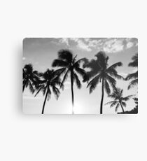 Hawaiian Palms III Metal Print