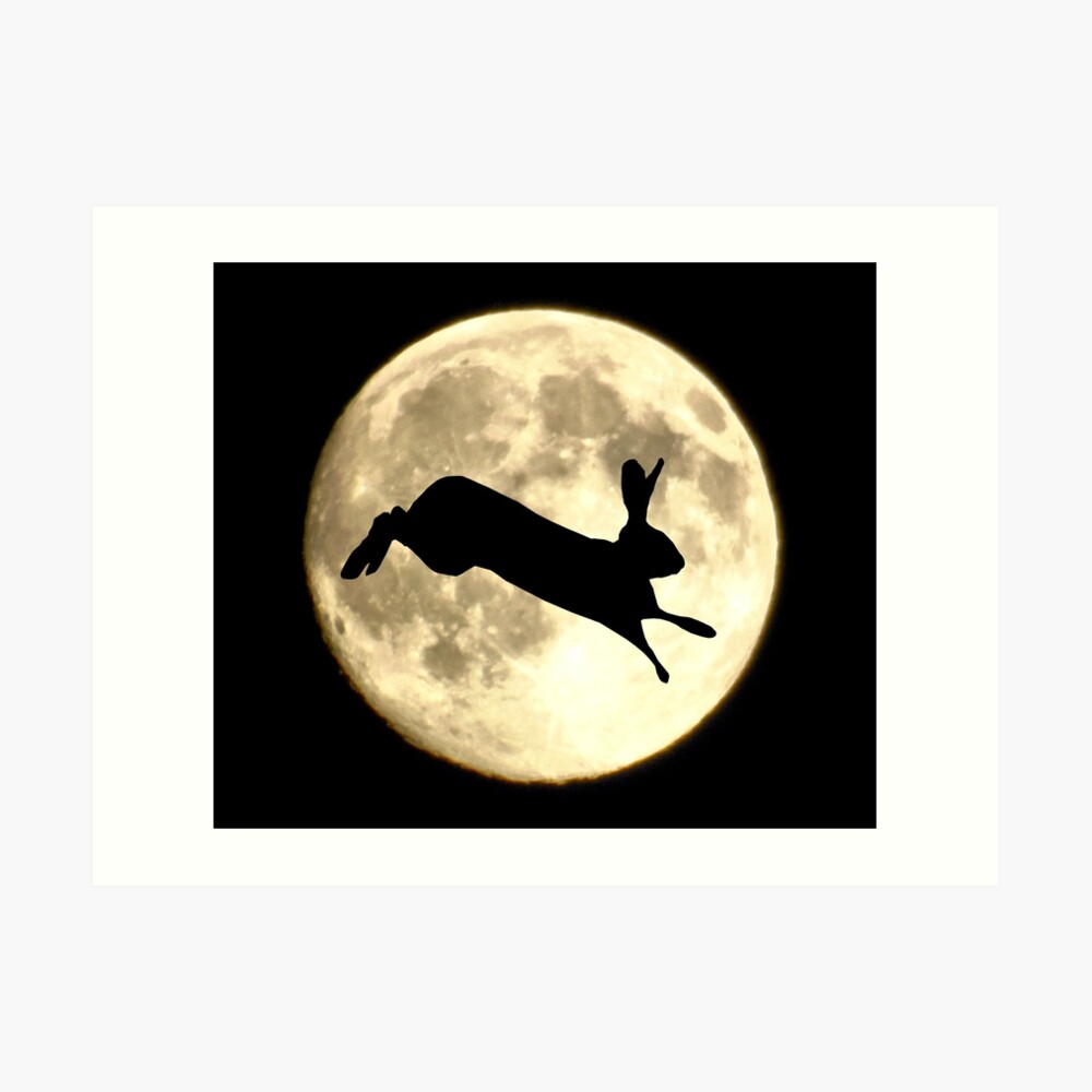 Hare and Moon Art Print