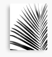 Lámina metálica PALM LEAF Blanco y Negro