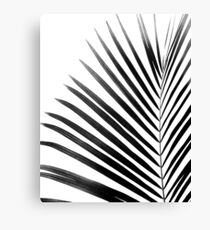 PALMENBLATT Black & White Leinwanddruck