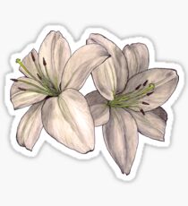 Lilies Sticker