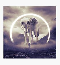 aegis II | wolf Photographic Print