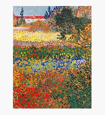 Flower Garden Painting by Vincent Van Gogh Photographic Print