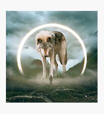 aegis | wolf Photographic Print
