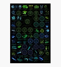 A visual compendium of glowing creatures Photographic Print