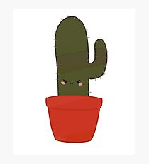 Angry Lil Cactus Photographic Print