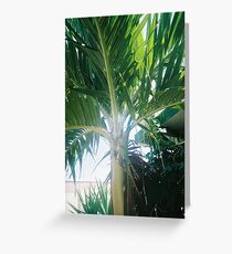 lazy days Greeting Card
