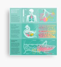 3 different ways to breathe Metal Print