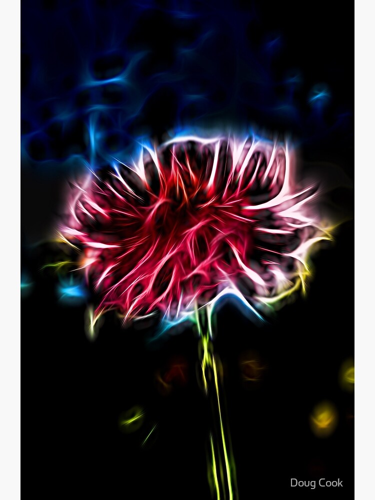 Abstract Flower Barga by DougCook