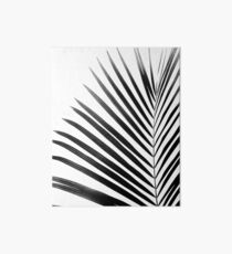 Lámina de exposición PALM LEAF Blanco y Negro