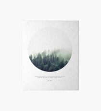 FOREST & Zitat von John Muir Galeriedruck