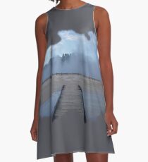 Go Explore A-Line Dress