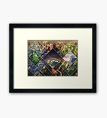nature in the face of evolution Framed Print