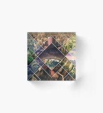 nature in the face of evolution Acrylic Block