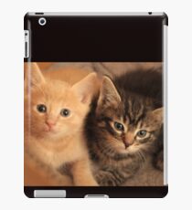 kittens iPad Case/Skin