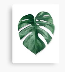 MONSTERA-BLATT Metalldruck