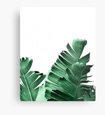 BANANENBLATT Metallbild