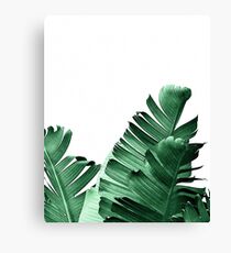 BANANENBLATT Leinwanddruck