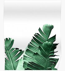 BANANENBLATT Poster