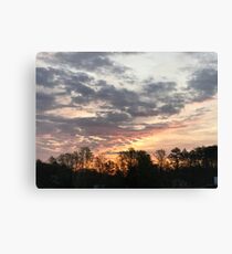 Hope rising Canvas Print