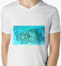 Sting Ray Men's V-Neck T-Shirt