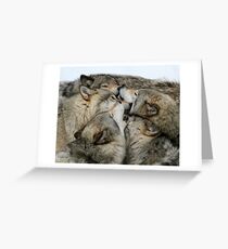 Muzzle nuzzle Greeting Card