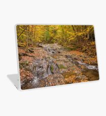 Cascades Laptop Skin