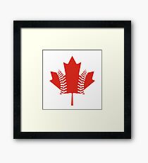 Maple Leaf Baseball Framed Print