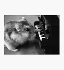 Mozart Photographic Print