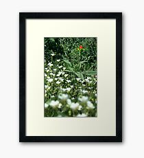 Paintbrush Framed Print