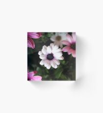 Flower Acrylic Block