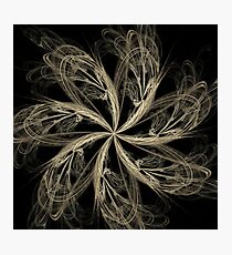 Fractal - 0006 - Seven Sweeps Photographic Print