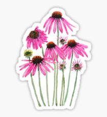 rosa lila Sonnenhut Aquarell Sticker