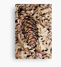 Brown on Brown Canvas Print
