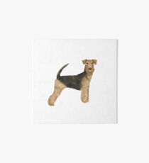 airedale, airedale terrier, dog, dogs, dog print, dog art, pet, pet art, airedale art, airedale terrier art, airedale gift, gift shop, dog gifts, Art Board