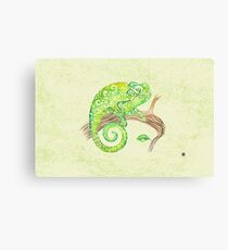 Swirly Chameleon Canvas Print