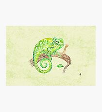 Swirly Chameleon Photographic Print