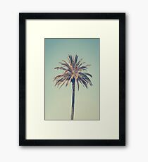 Retro palm tree Framed Print
