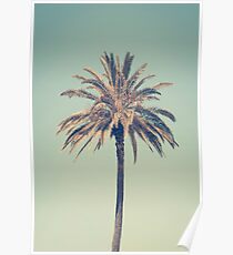 Retro palm tree Poster